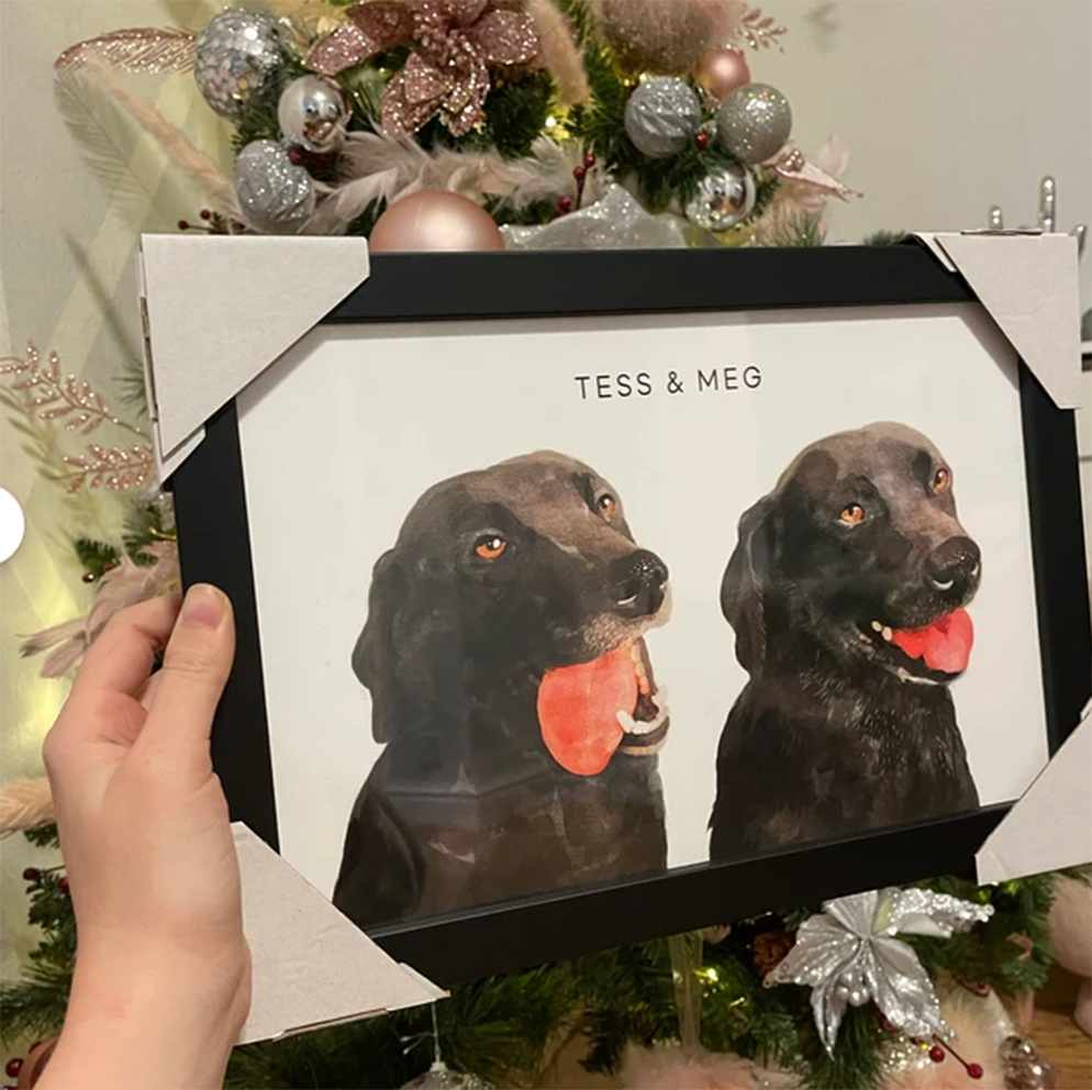 Pet wool felt (photo frame)